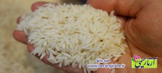 7 راه تشخیص برنج ایرانی اصل