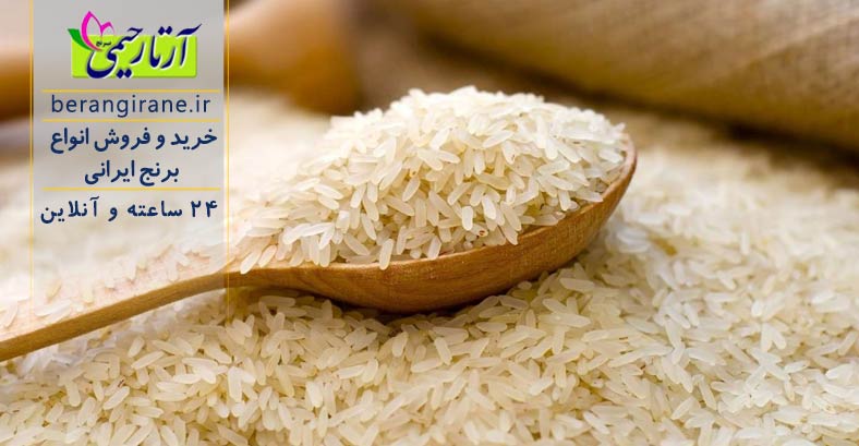 خرید و فروش کلی و جزئی برنج