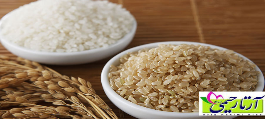 برنج از نگاه طب سنتی