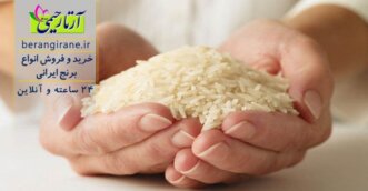 برنج شناسی برنج ایرانی و خارجی