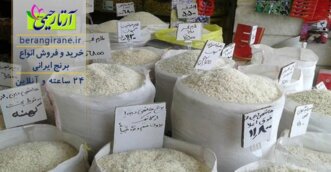 خرید برنج