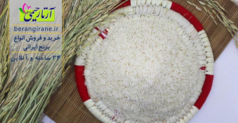 برنج هاشمي
