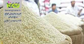دولت خرید توافقی برنج را در دستور کار ندارد