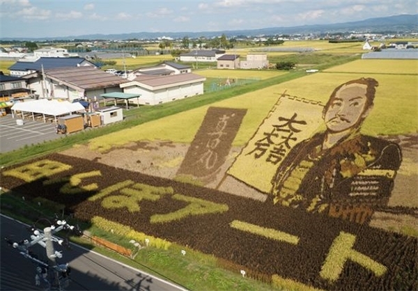 آثارهنری در مزرعه‌های برنج ژاپن