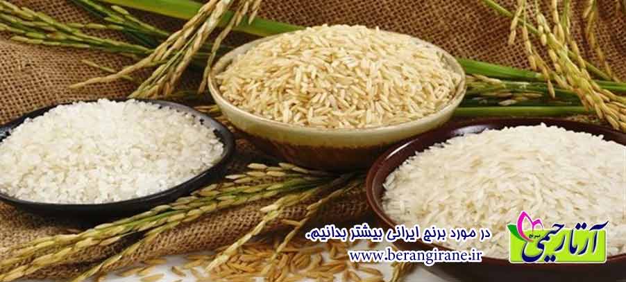 در مورد برنج ایرانی بیشتر بدانیم