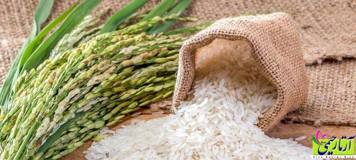 برنج استخوانی