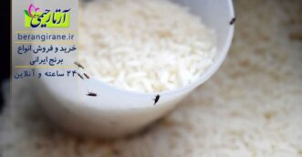 روش های جلوگیری از شپشک زدن برنج چیست