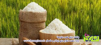نکاتی خواندنی در مورد برنج