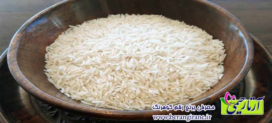 معرفی برنج رقم کوهرنگ