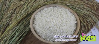 ارسال برنج شمال به قرچک