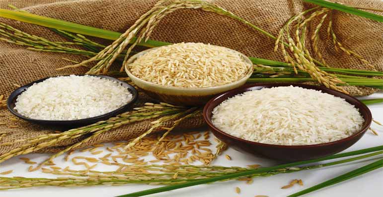 تشخیص کیفیت برنج طارم دم سیاه اصل از تقلبی