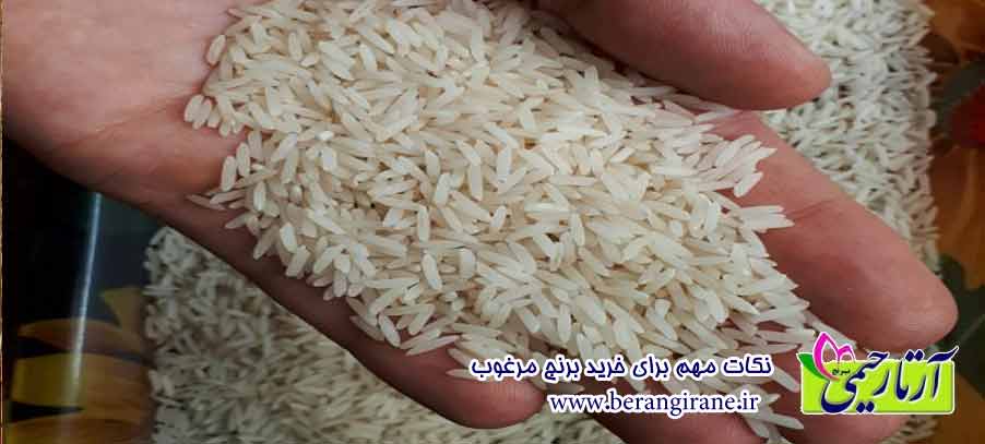 نکات مهم برای خرید برنج مرغوب