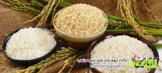 نکات مهم برای خرید برنج مرغوب