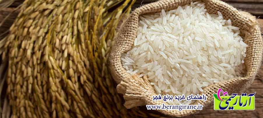راهنمای خرید برنج فجر