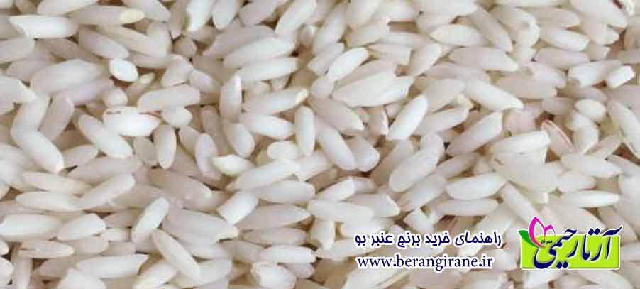 راهنمای خرید برنج عنبر بو