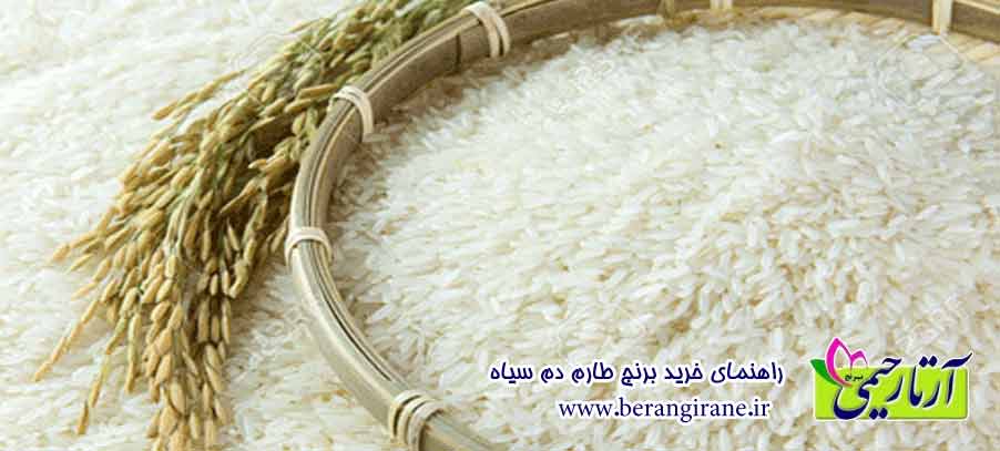 راهنمای خرید برنج طارم دم سیاه