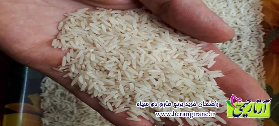 راهنمای خرید برنج طارم دم سیاه