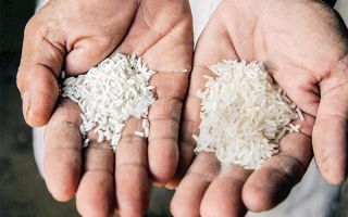 نحوه تشخیص برنج ایرانی تازه و کهنه