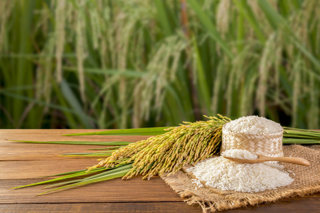 نحوه تشخیص برنج ایرانی تازه و کهنه