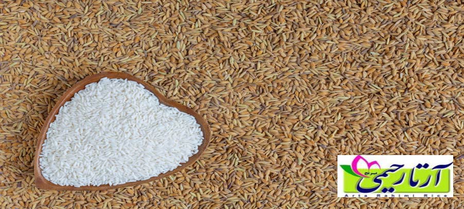 خرید برنج . 9 کاربرد دانه های برنج در خانه داری