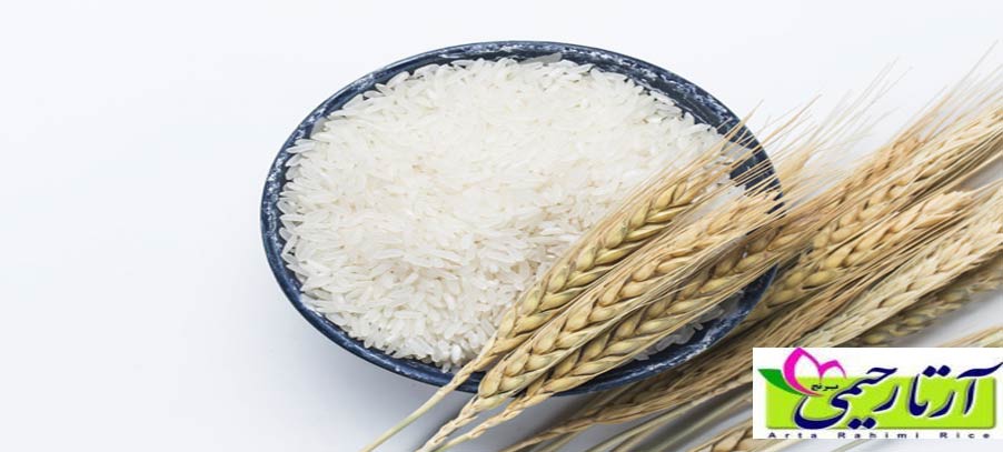 9 کاربرد دانه های برنج در خانه داری . خرید برنج ایرانی