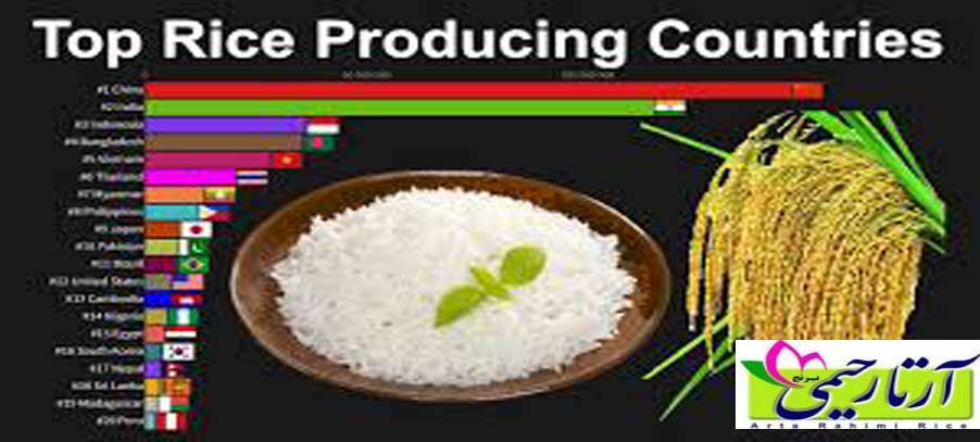 بزرگترین کشور های تولید کننده برنج