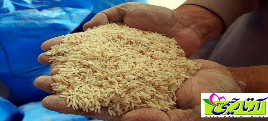 برنج امراللهی چیست