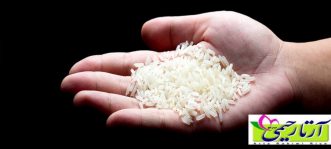 کدام برنج ایرانی تراریخته است؟