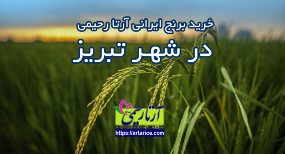 ارسال برنج شمال به تبریز