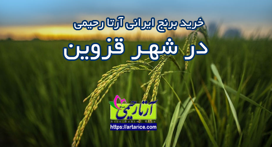 ارسال برنج شمال به قزوین