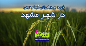 ارسال برنج شمال به مشهد