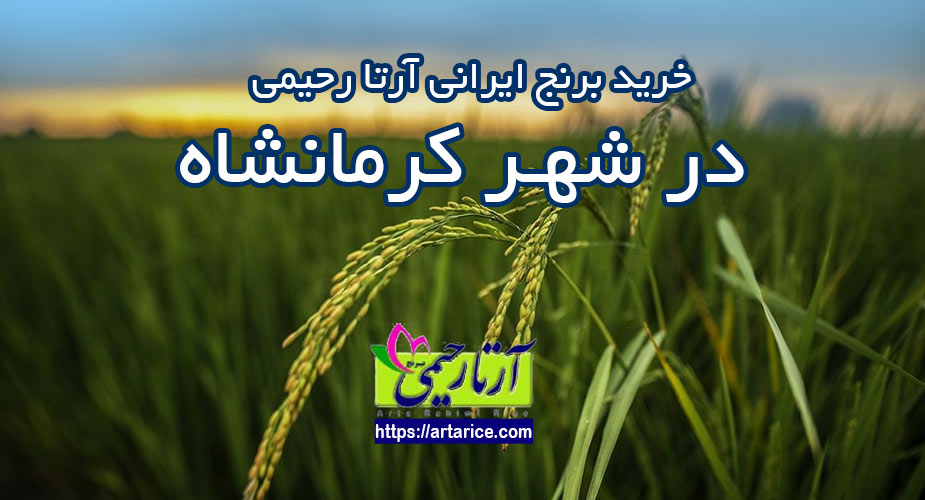 ارسال برنج شمال به کرمانشاه