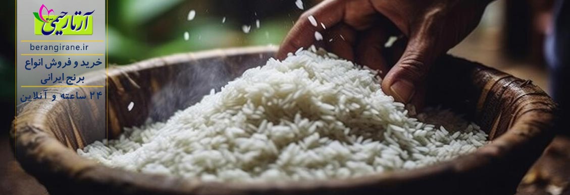 برنج طارم هاشمی